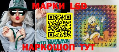 PSILOCYBIN Нальчик